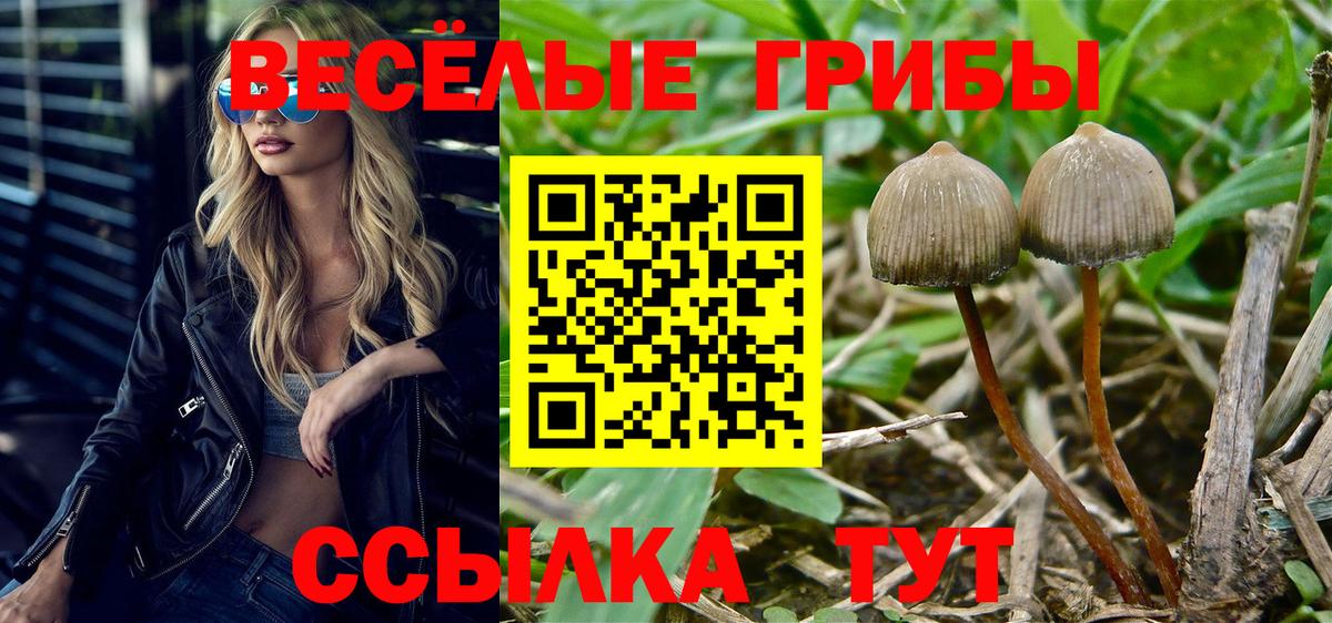 Псилоцибиновые грибы мухоморы Соликамск